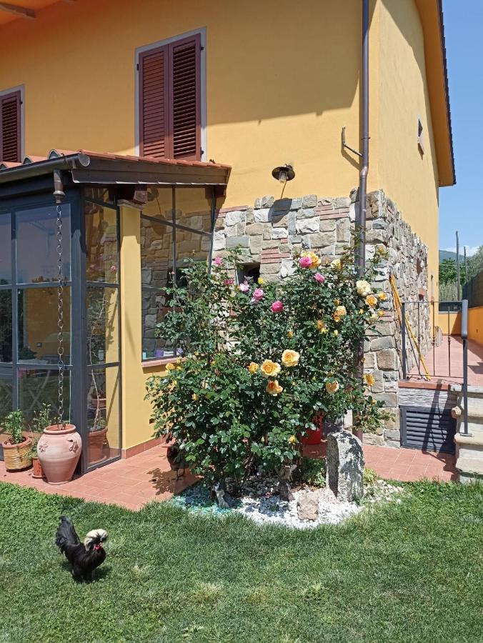 Podere Pozzo Fatato Apartment Monsummano Terme