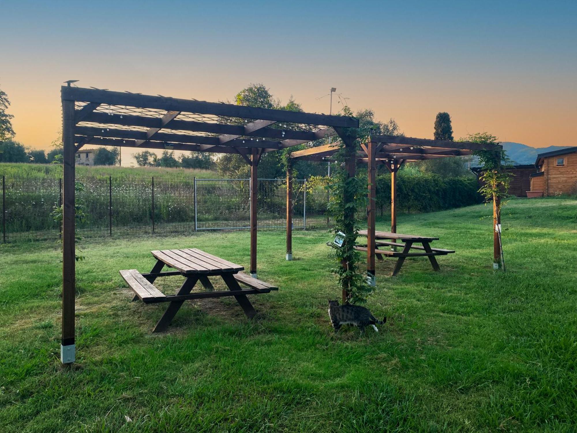 Podere Pozzo Fatato Apartment *